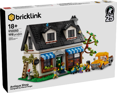 Antique Shop - 910050